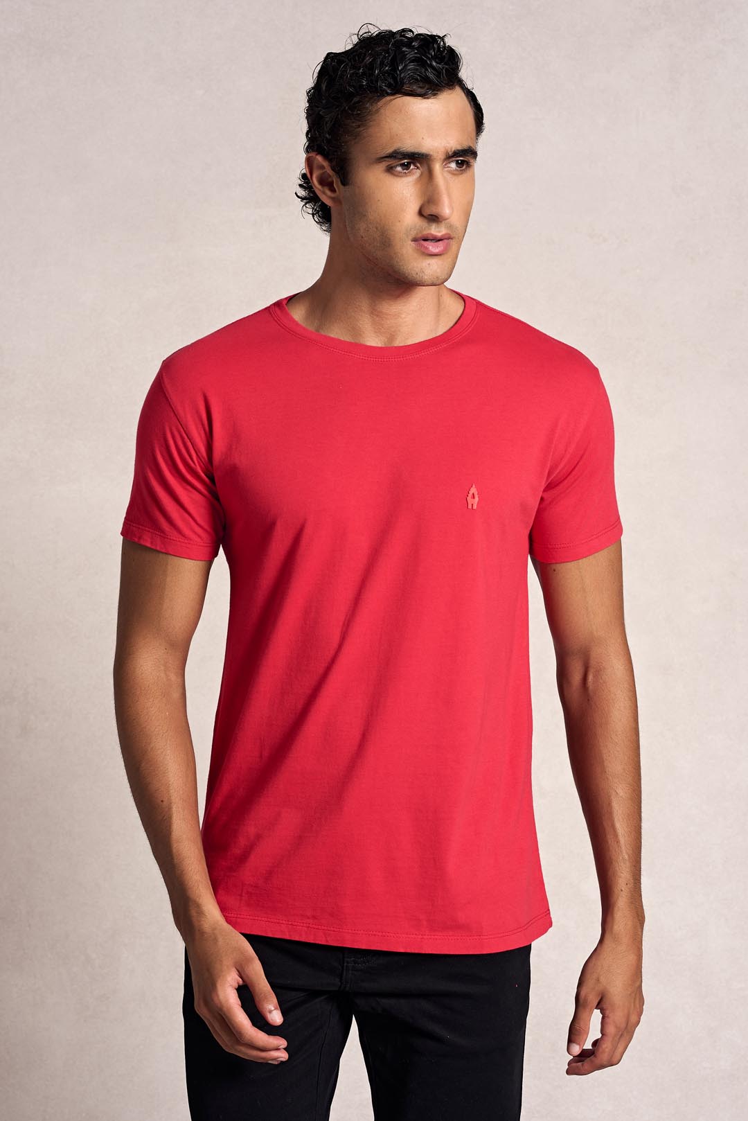 Camiseta Básica