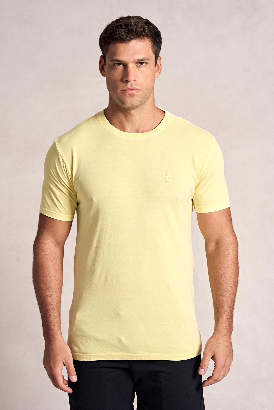 Camiseta Básica