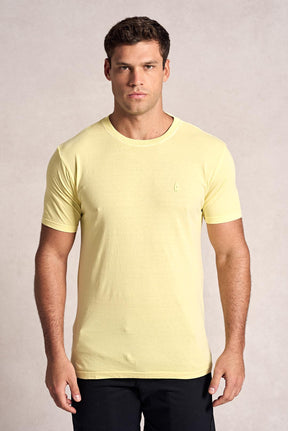 Camiseta Básica